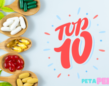 Top 10 suppliments