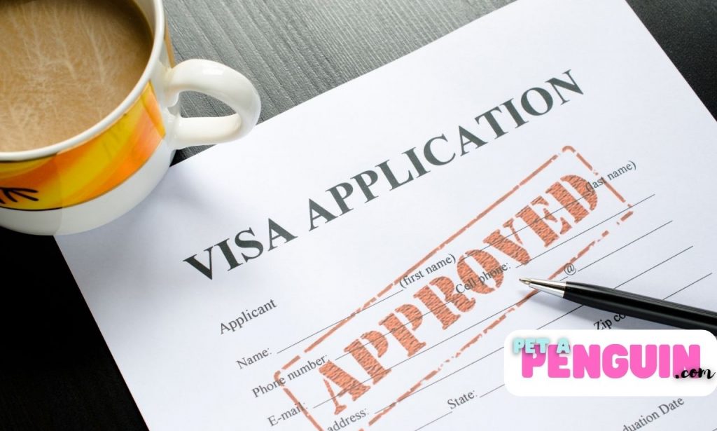 Healthcare Visa Application Form 
