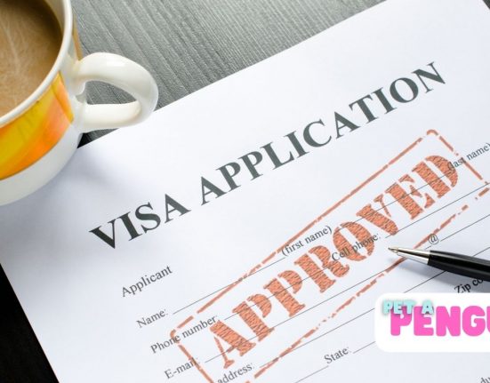 Visa Application Form Sponsorship