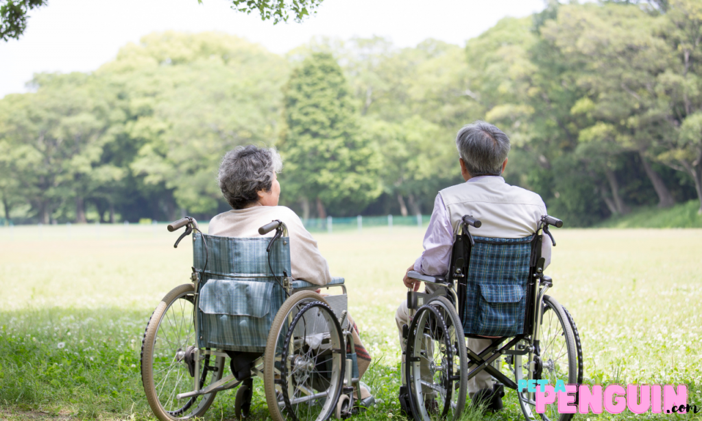 2 people in wheelchairs 
care